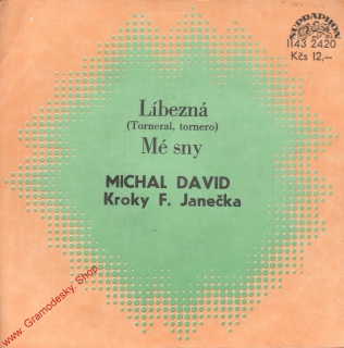 SP Michal David, Líbezná, Mé sny, 1980