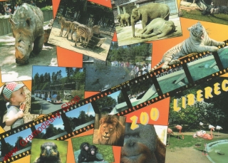 Pohlednice ZOO Liberec, záběry z videokazet, razítko ZOO, čistý
