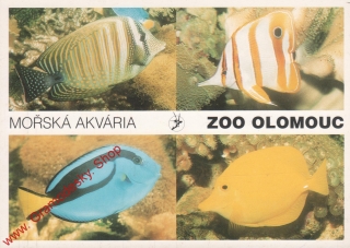 Pohlednice, ZOO Olomouc, Mořská akvária, s razítkem ZOO, čistá