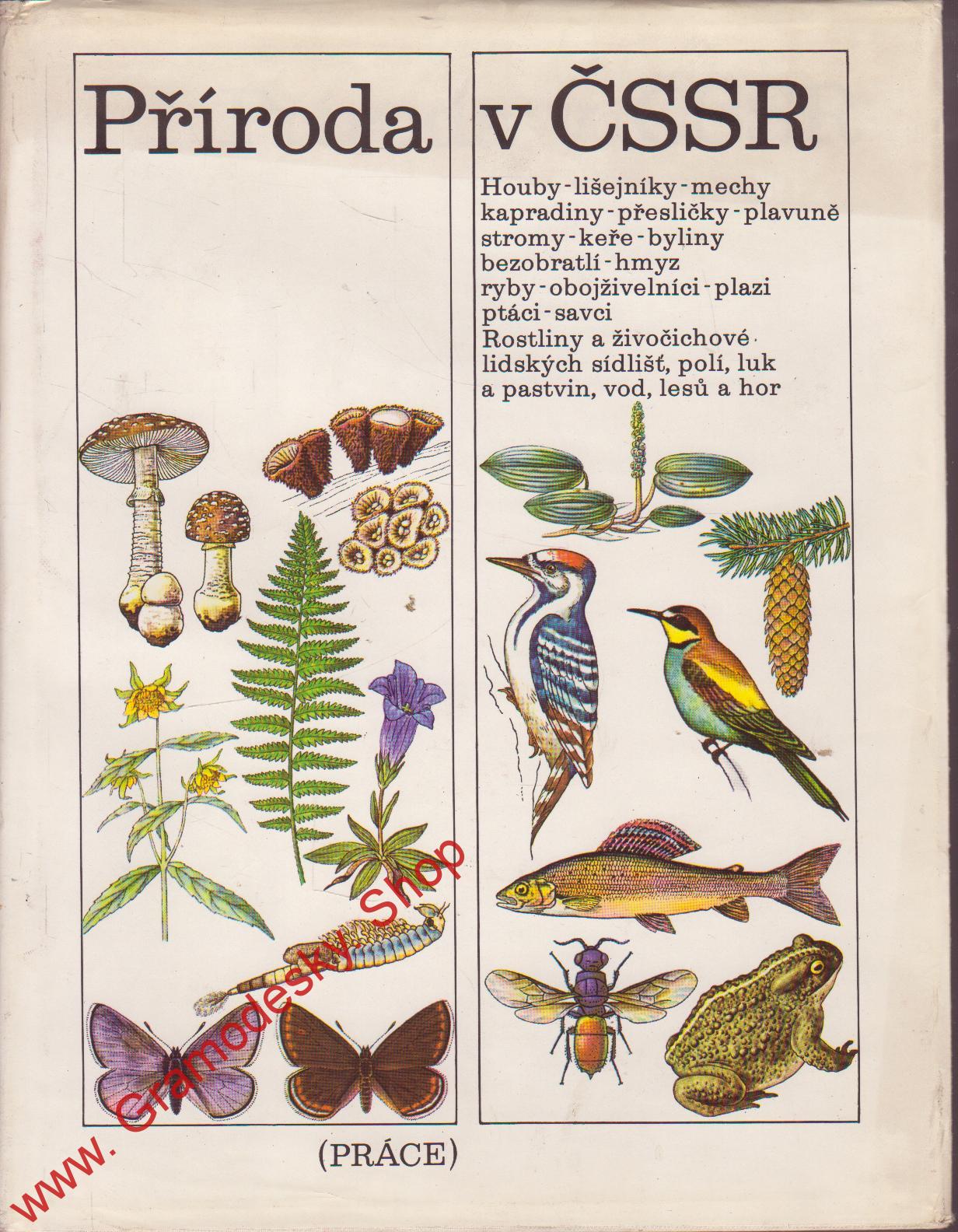  Příroda v ČSSR / Dr. Jiří Čihař a kolektiv autorů, 1978
