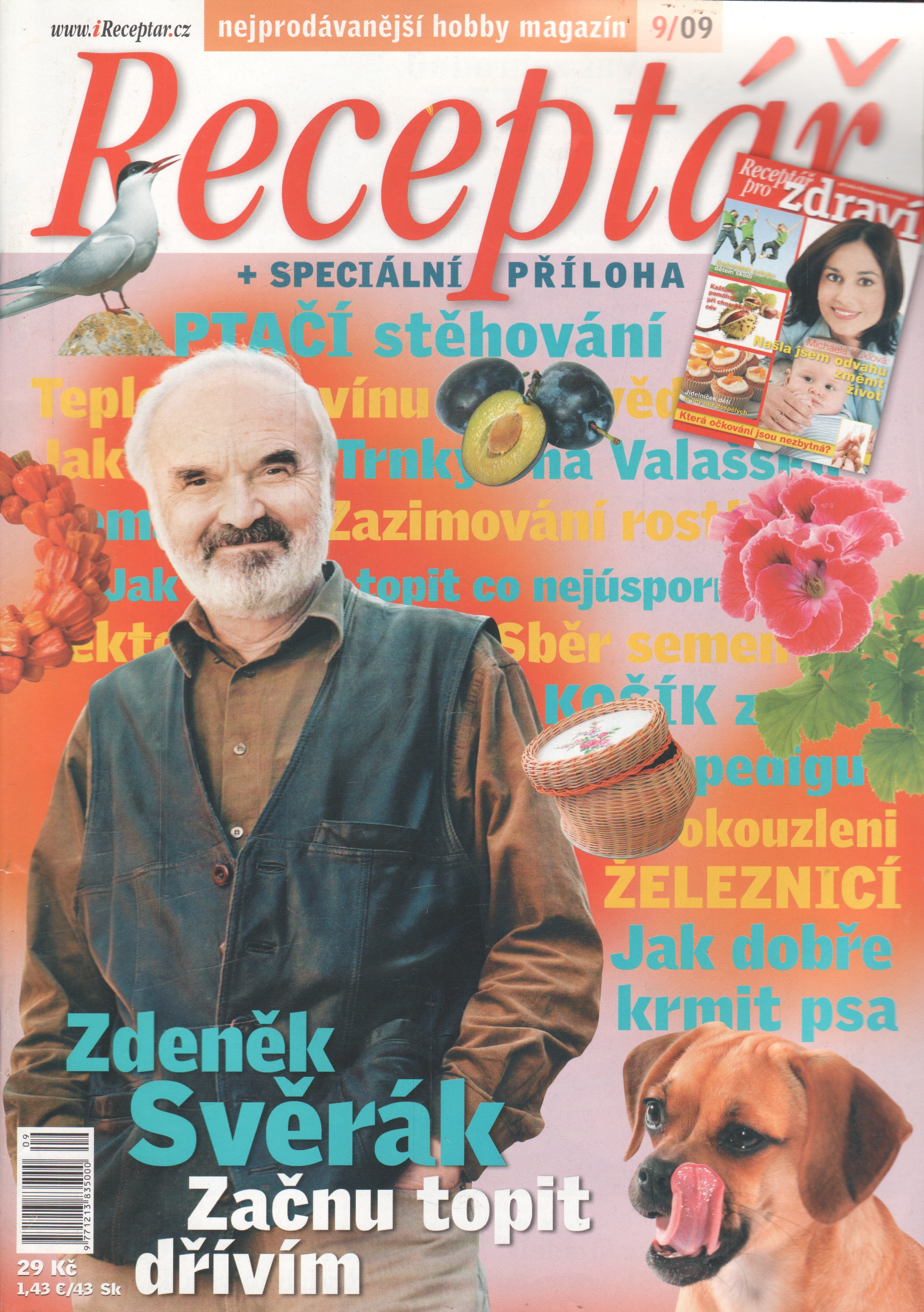 2009/09 Receptář, nejprodávanější hobby magazín, velký formát