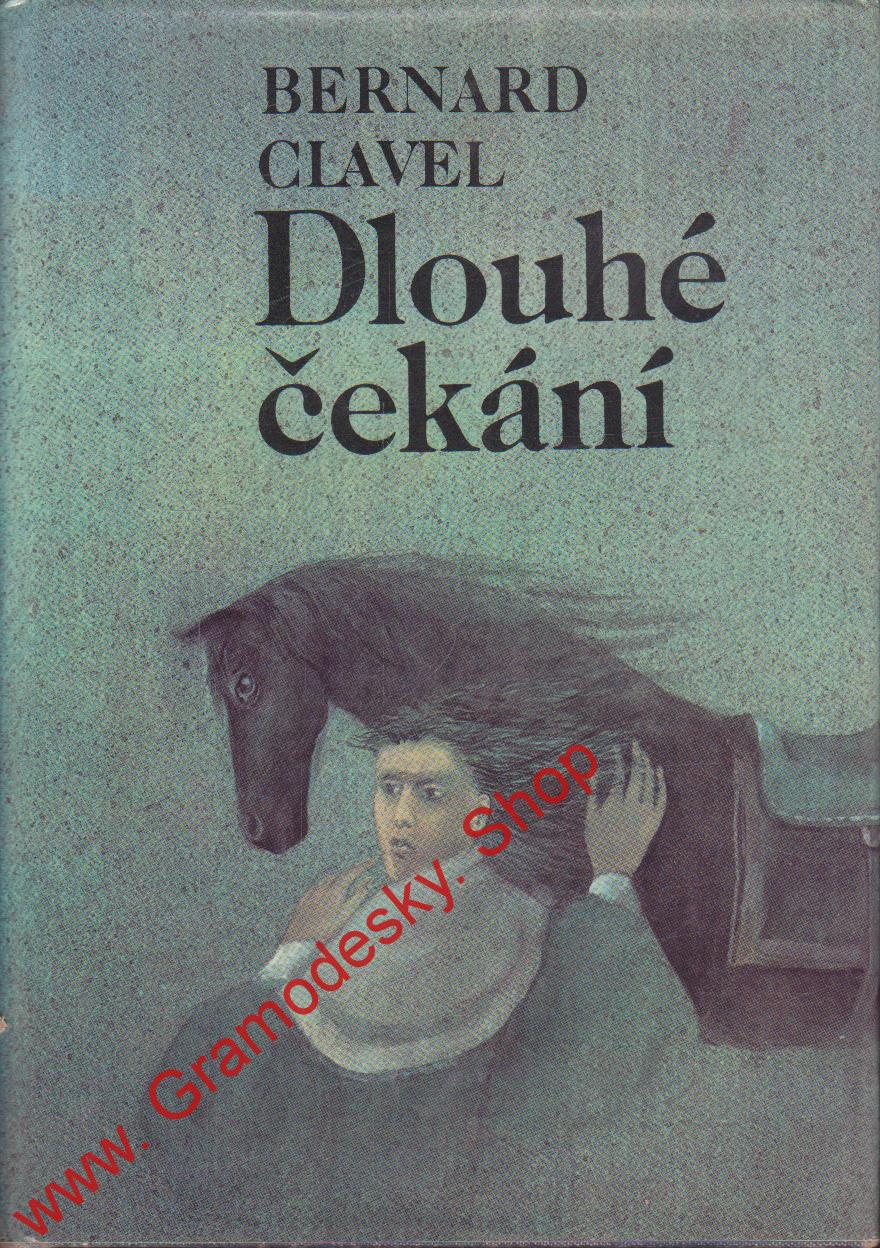 Dlouhé čekání / Bernard Clavel, 1985