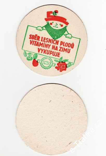 Sběr lesních plodů, vitamíny na zimu vykupuje Jednota