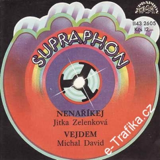 SP Jitka Zelenková, Michal David, 1982, Nenaříkej, Vejdem