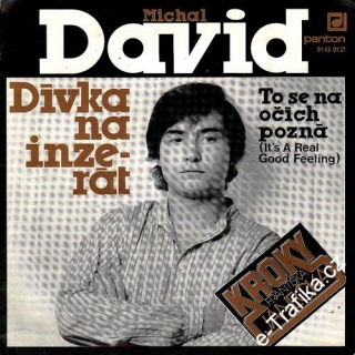 SP Michal David, 1982, Dívka na inzerát