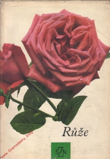 Růže / Ludvík Večeřa a kol., 1967