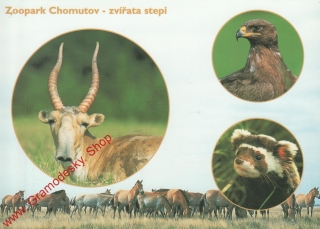 Pohlednice Zoopark Chomitov, zvířeta stepi, razítko ZOO