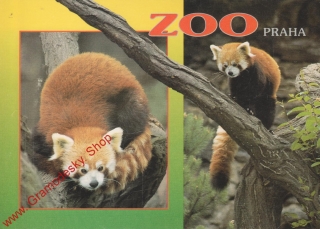 Pohlednice ZOO Praha, Panda červená, razítko ZOO