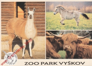 Pohlednice ZOO park Vyškov, Lama krotká, Kůň Fjostský, razitko ZOO