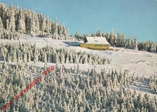 Pohlednice / Zimní krajina, Šťastný Nový rok, prošlý poštou