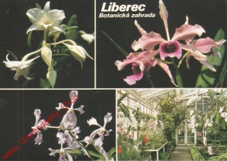 Pohlednice, Liberec, botanická zahrada, orchideový skleník, čistý