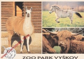 Pohlednice, Zoo park Vaškov, Lama krotká, Kůň fjordský, čistý