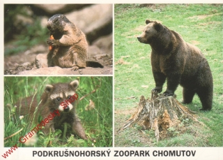 Pohlednice, Podkrušnohorský ZOOpark Chomutov, s razítkem, čistá