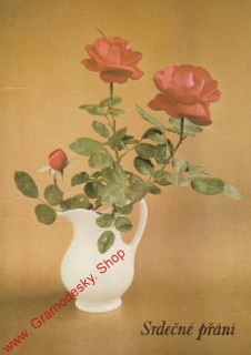 Pohlednice, růže v bílém džbánku, prošlá poštou