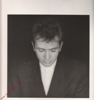 LP Peter Gabriel, Shaking The Tree, Twelve Golden Greats, 1990, Popron