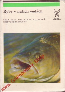 Ryby v našich vodách / Lusk, Baruš, Vostradovský, 1983