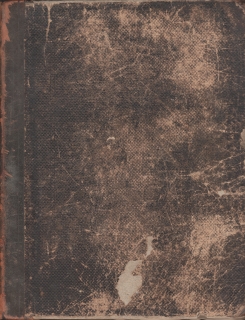 Lumír časopis pro zábavu, ročník V, 1877