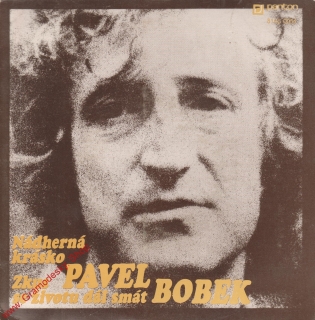 SP Pavel Bobek, Nádherná krásko, Zkus se životu dál smát, 1980