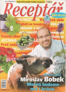 2013/07 Receptář, nejprodávanější hobby magazín, velký formát