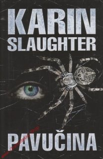 Pavučina / Karin Slaughter, 2008