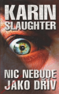 Nic nebude jako dřív / Karin Slaughter, 2009