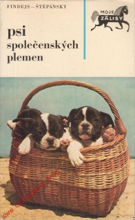 Psi společenských plemen / Findejs, Štěpánský, 1973