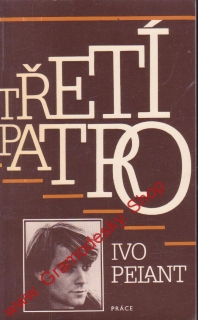 Třetí patro / Ivo Pelant, 1987