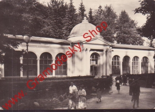 Pohlednice Mariánské lázně, Lesní pramen, 1961, prošlá poštou