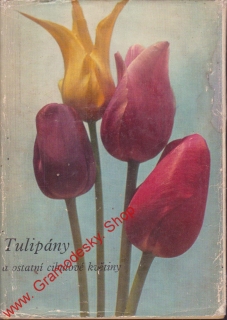 Tulipány a ostatní cibulové květiny / 1967